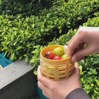 Double-Layer Salad Cup